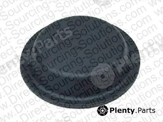 DSS 106002 — Membrane, spring-loaded cylinder