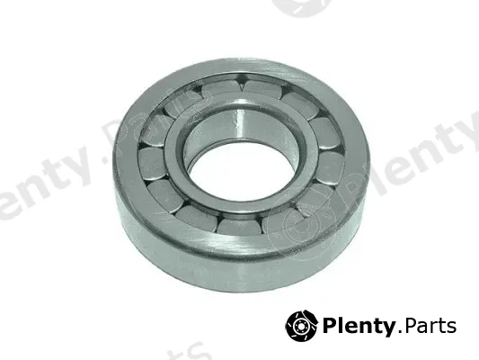 DSS 170046 — Bearing, differential
