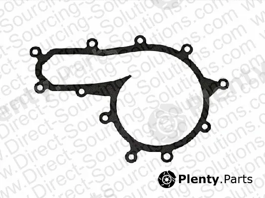 DSS 120015 — Gasket, water pump