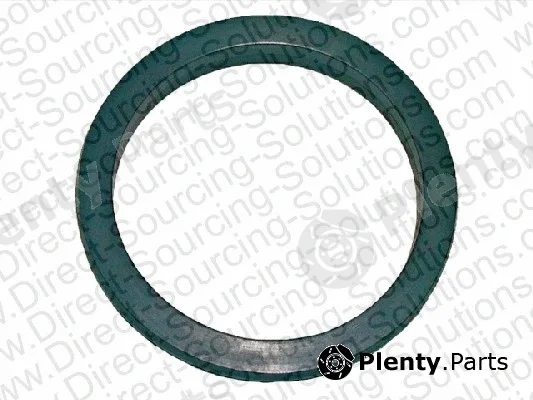 DSS 202356 — Gasket, water pump