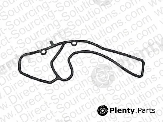 DSS 101827 — Gasket, centrifugal cleaner flange