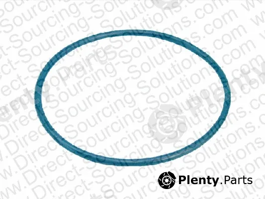 DSS 101371 — Seal Ring