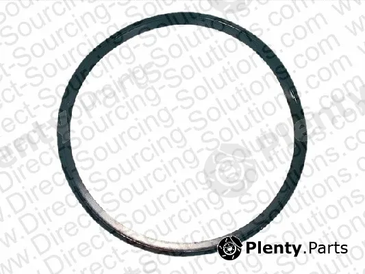 DSS 202404 — Gasket, water pump