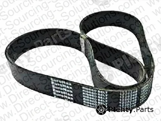 DSS 202193 — V-Ribbed Belt