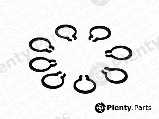 DSS 106419 — Circlip, brake anchor pin