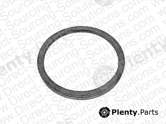DSS 610071 — Shaft Seal, crankshaft