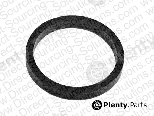 DSS 202020 — Seal Ring, coolant pipe