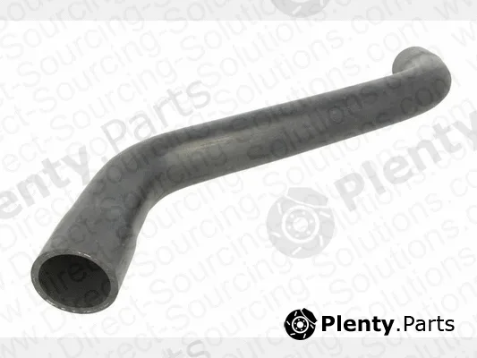 DSS 120125 — Radiator Hose
