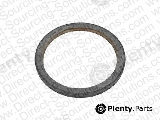 DSS 610059 — Shaft Seal, crankshaft