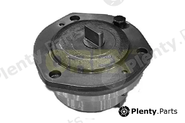 Orex 618001 — Oil Pump