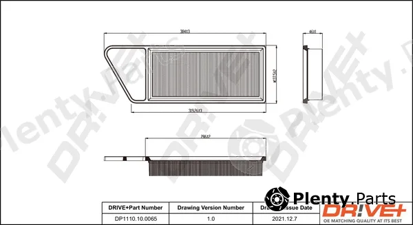 Dr!ve+ DP1110.10.0065 — Air Filter