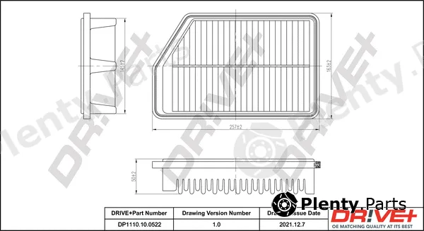 Dr!ve+ DP1110.10.0522 — Air Filter
