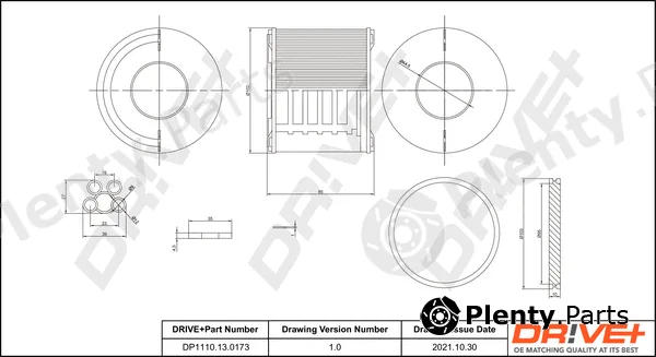 Dr!ve+ DP1110.13.0173 — Fuel Filter