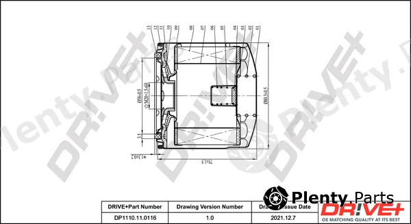 Dr!ve+ DP1110.11.0116 — Oil Filter