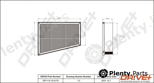 Dr!ve+ DP1110.10.0170 — Air Filter