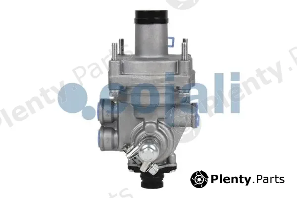 Cojali 2220319 — Relay, ALB