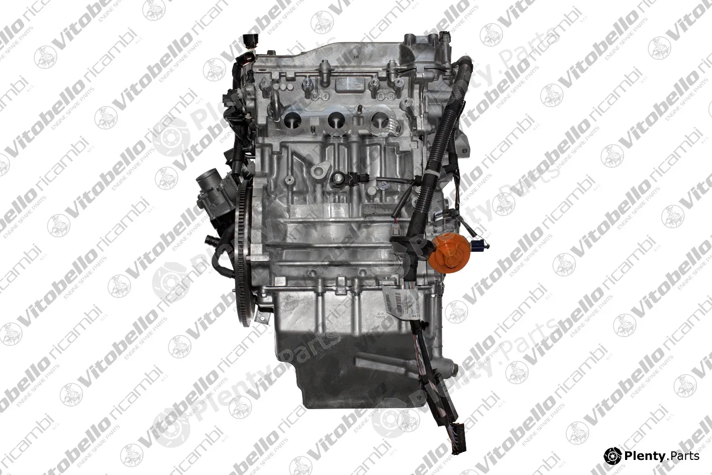 Vitobello Ricambi 1001418NO — Complete Engine