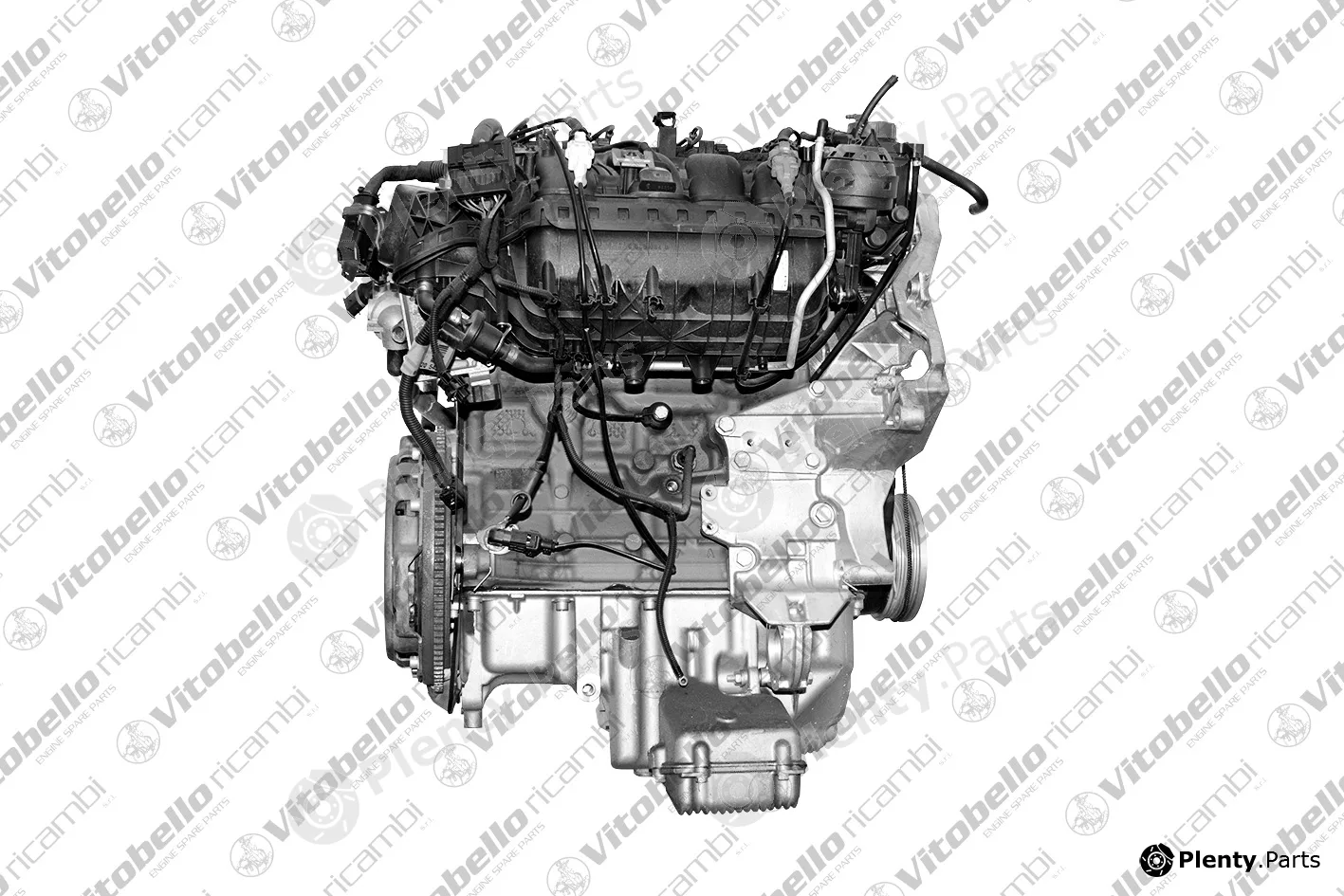 Vitobello Ricambi 5298NO — Complete Engine