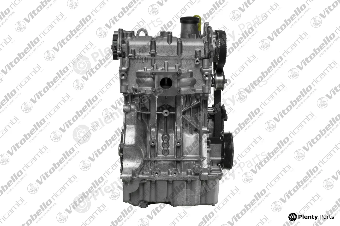 Vitobello Ricambi 1003199NO — Complete Engine
