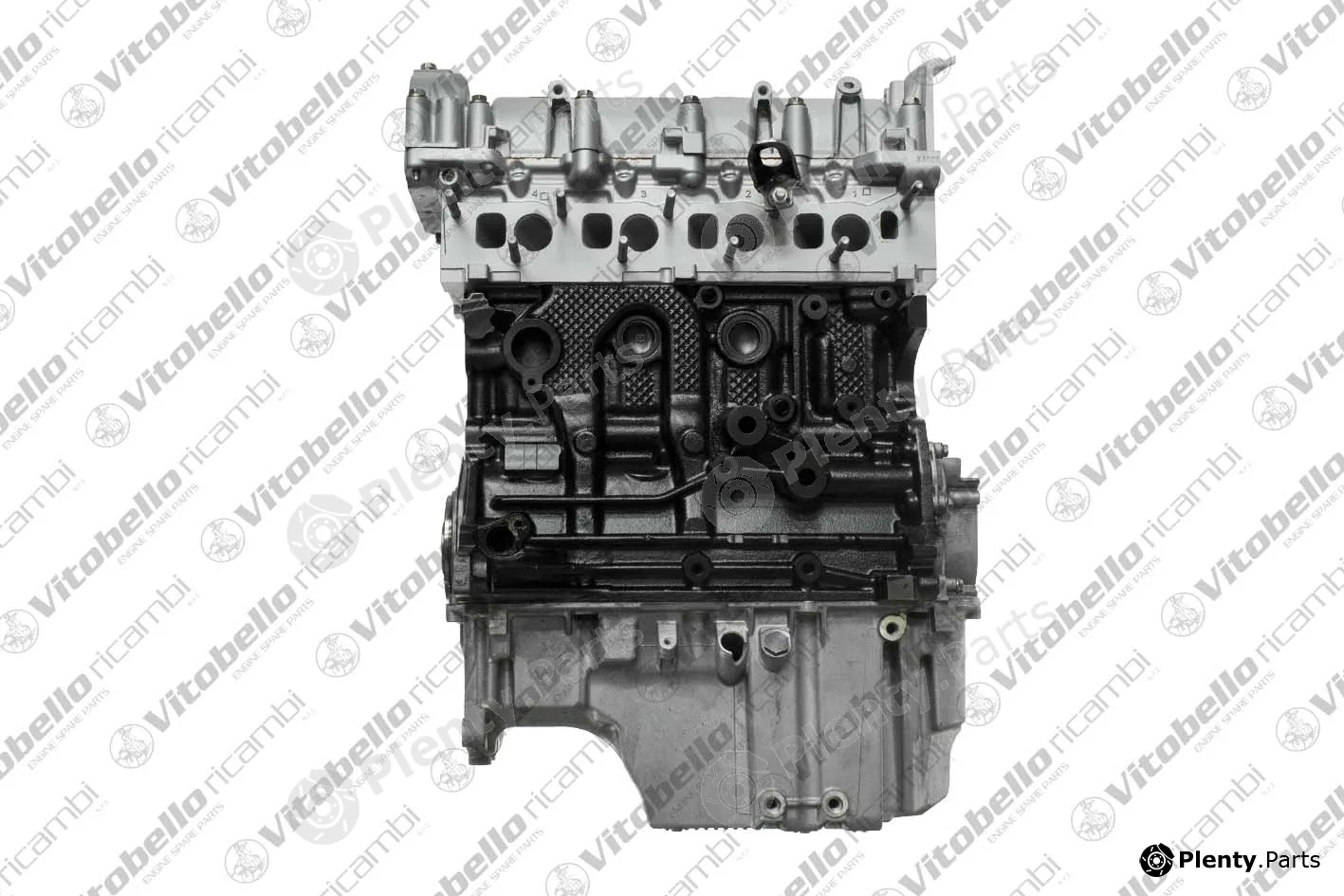 Vitobello Ricambi 1003900R — Complete Engine