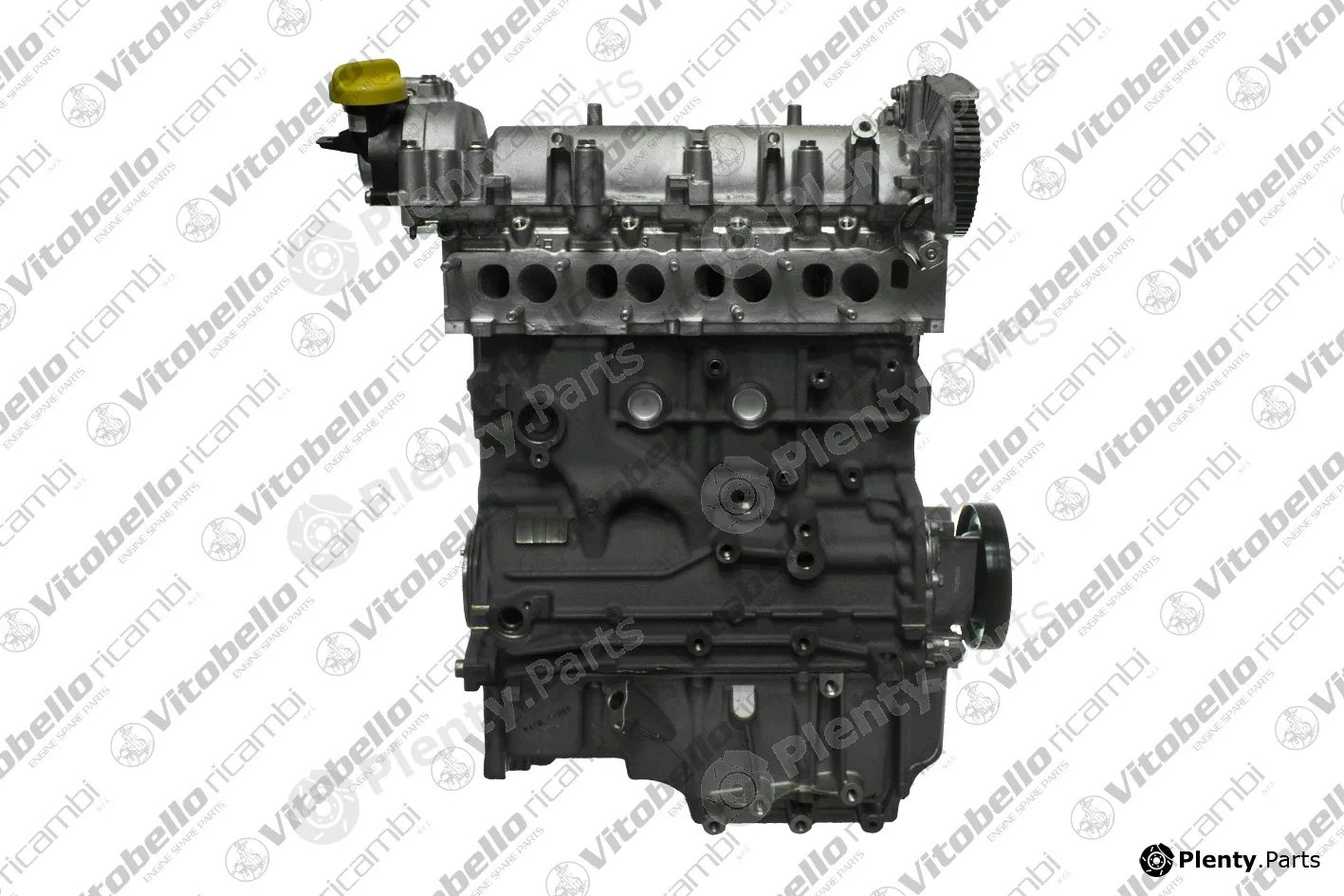 Vitobello Ricambi 18633NO — Complete Engine