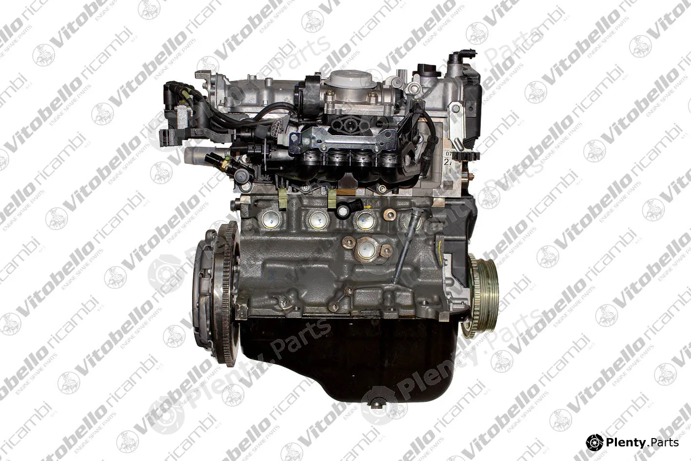 Vitobello Ricambi 18065NO — Complete Engine