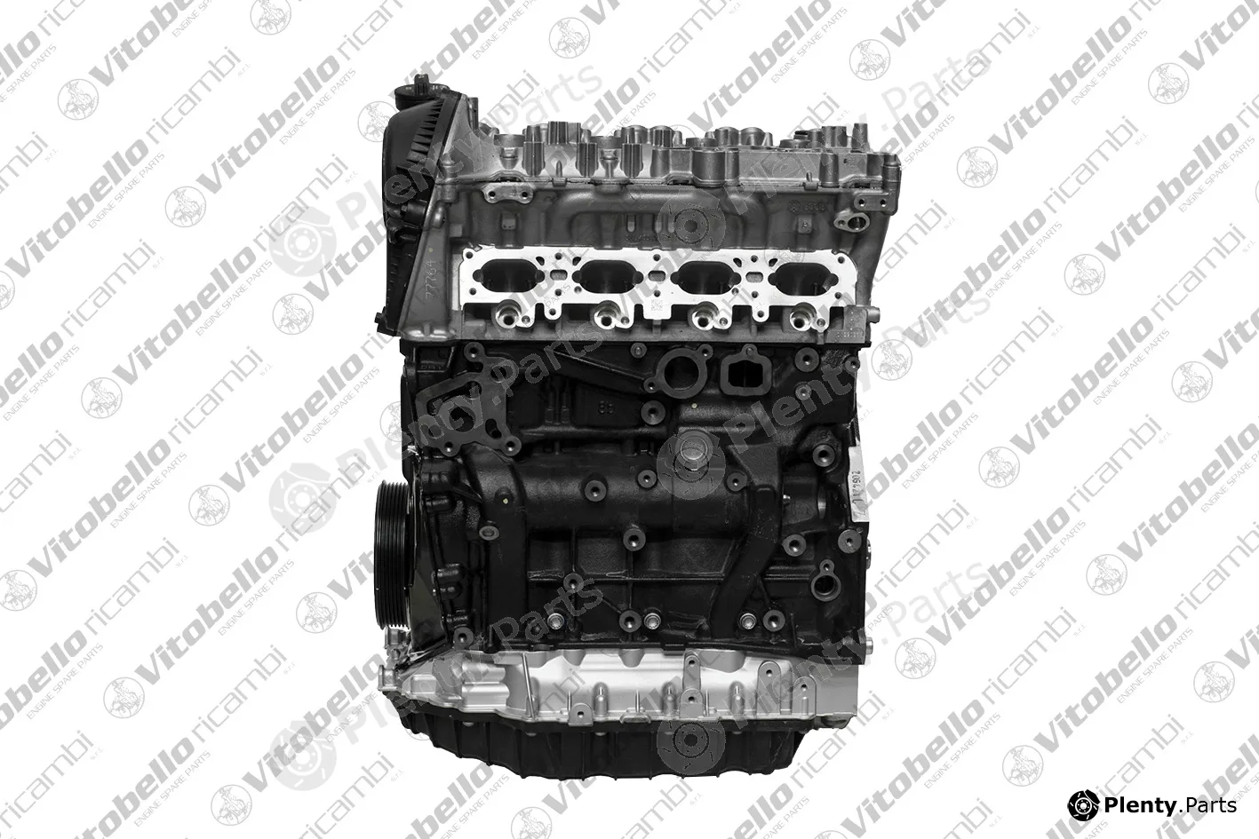 Vitobello Ricambi 1004155R — Complete Engine