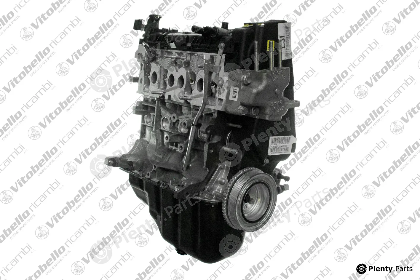 Vitobello Ricambi 1004629NO — Complete Engine