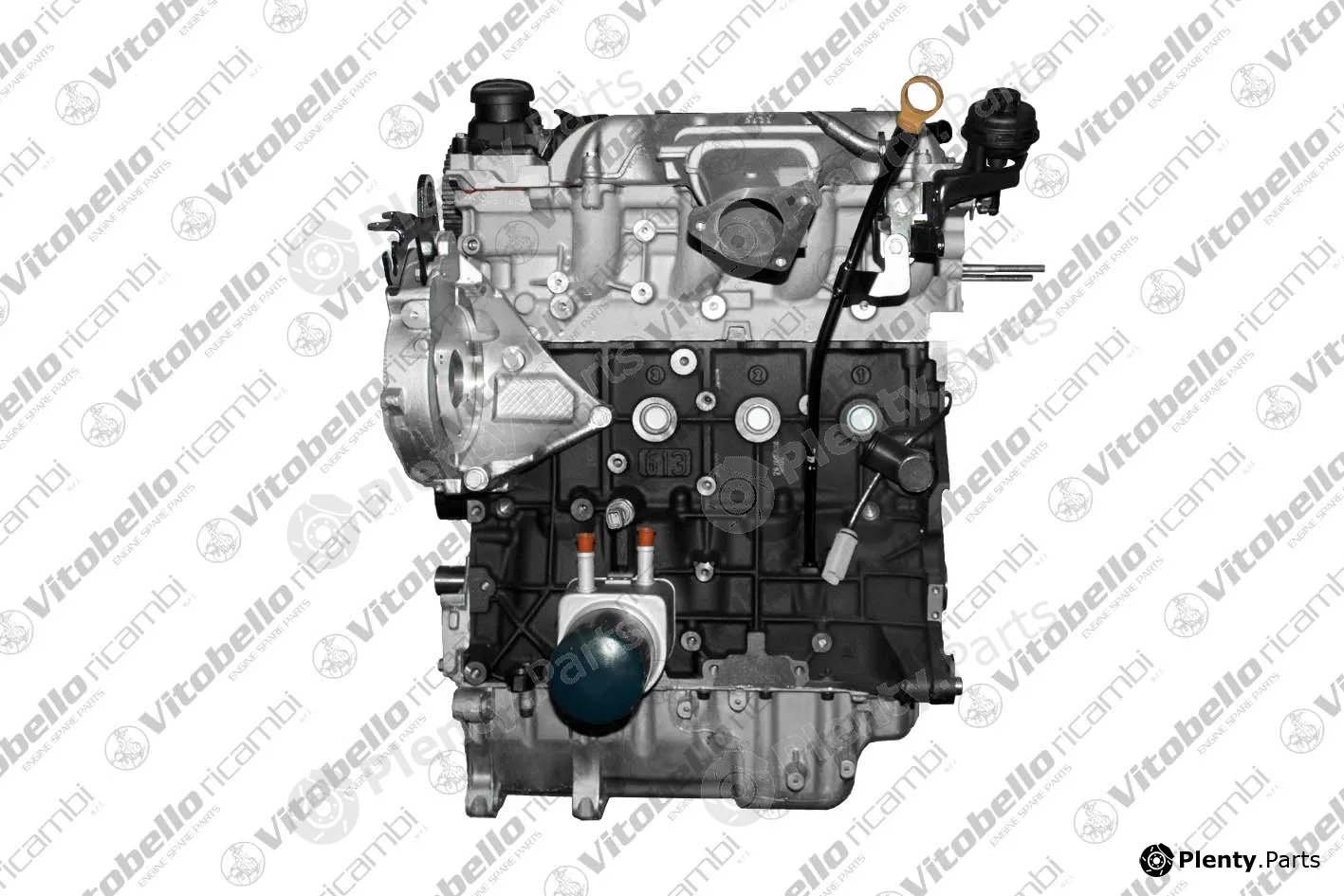 Vitobello Ricambi 6186NO — Complete Engine