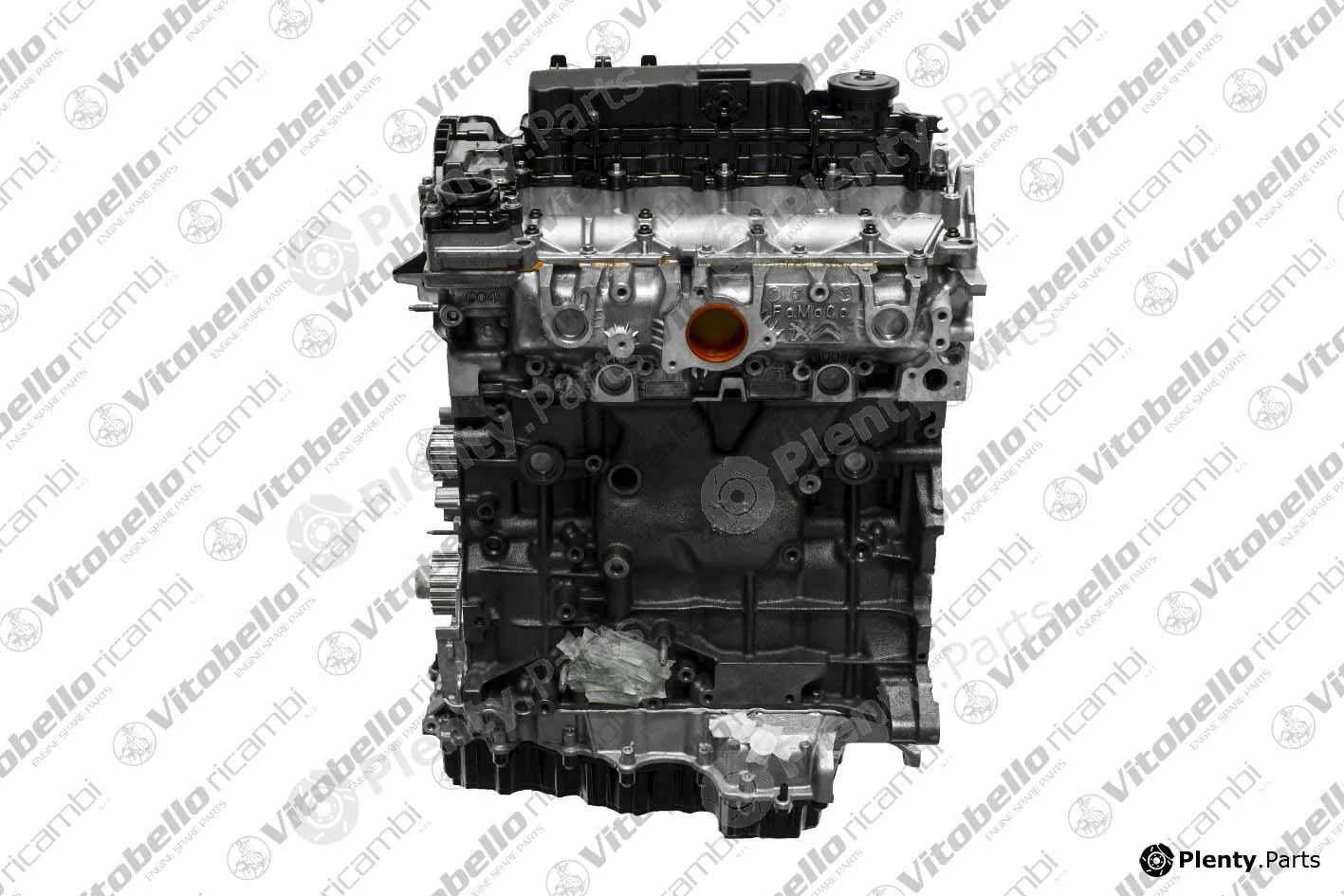 Vitobello Ricambi 1003574R — Complete Engine