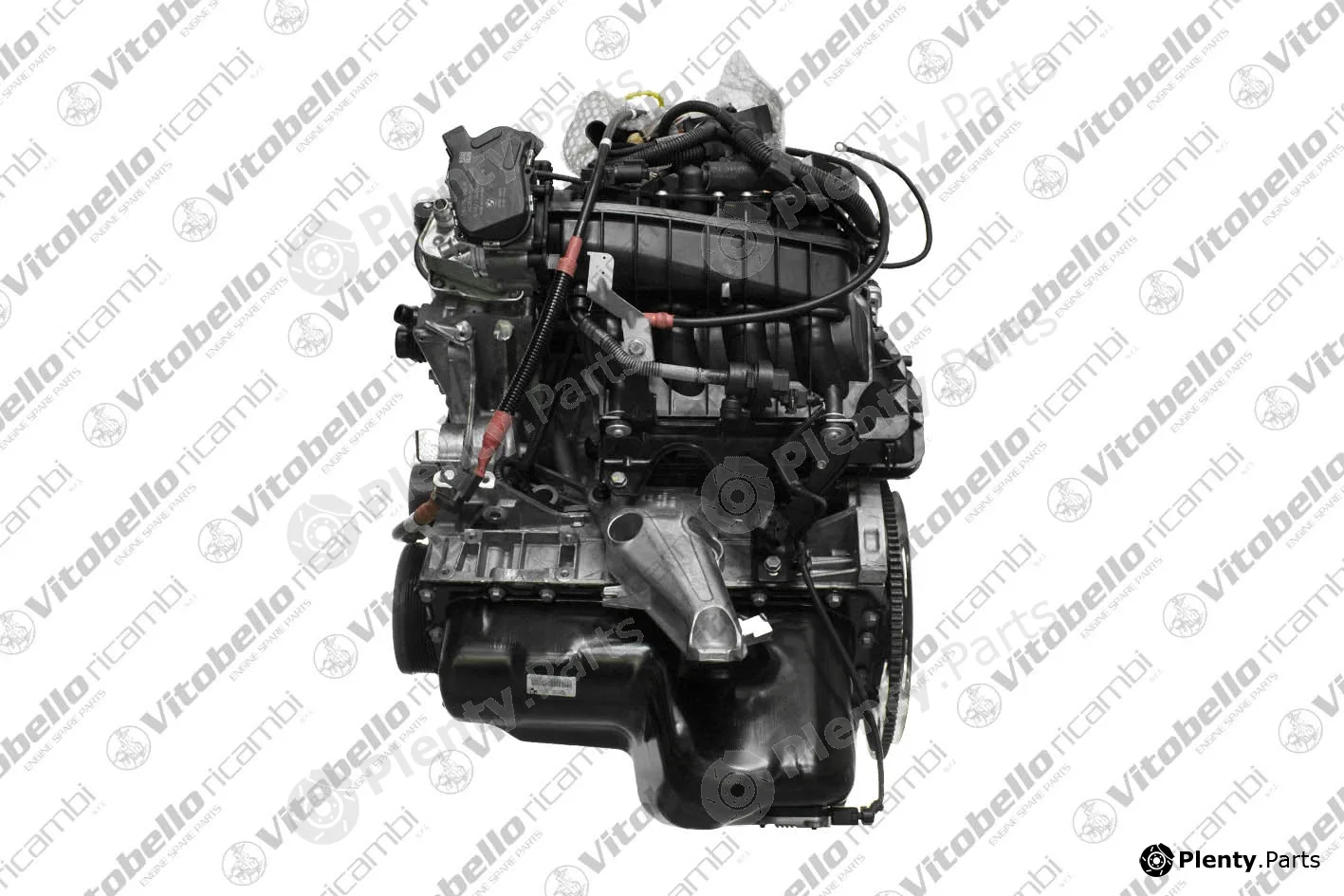 Vitobello Ricambi 1002289NO — Complete Engine