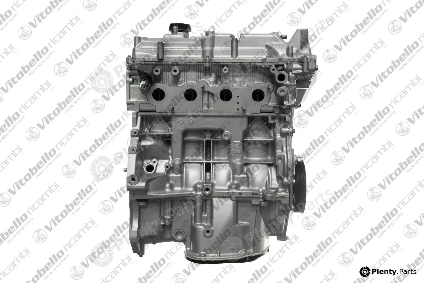 Vitobello Ricambi 1003565R — Complete Engine