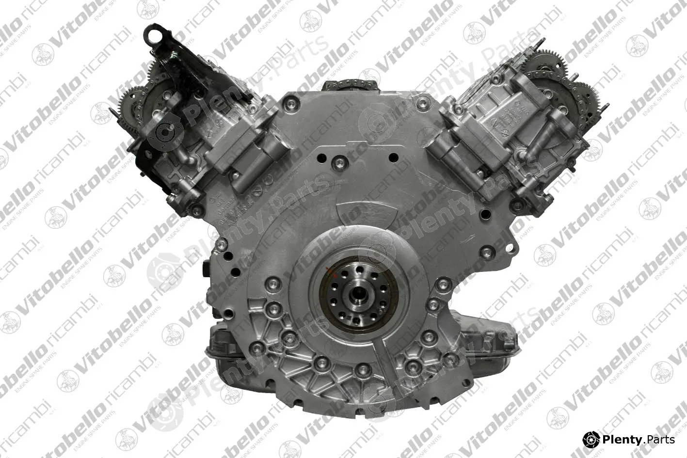Vitobello Ricambi 1003269R — Complete Engine