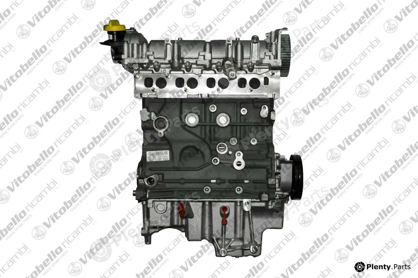 Vitobello Ricambi 1002242NO — Complete Engine