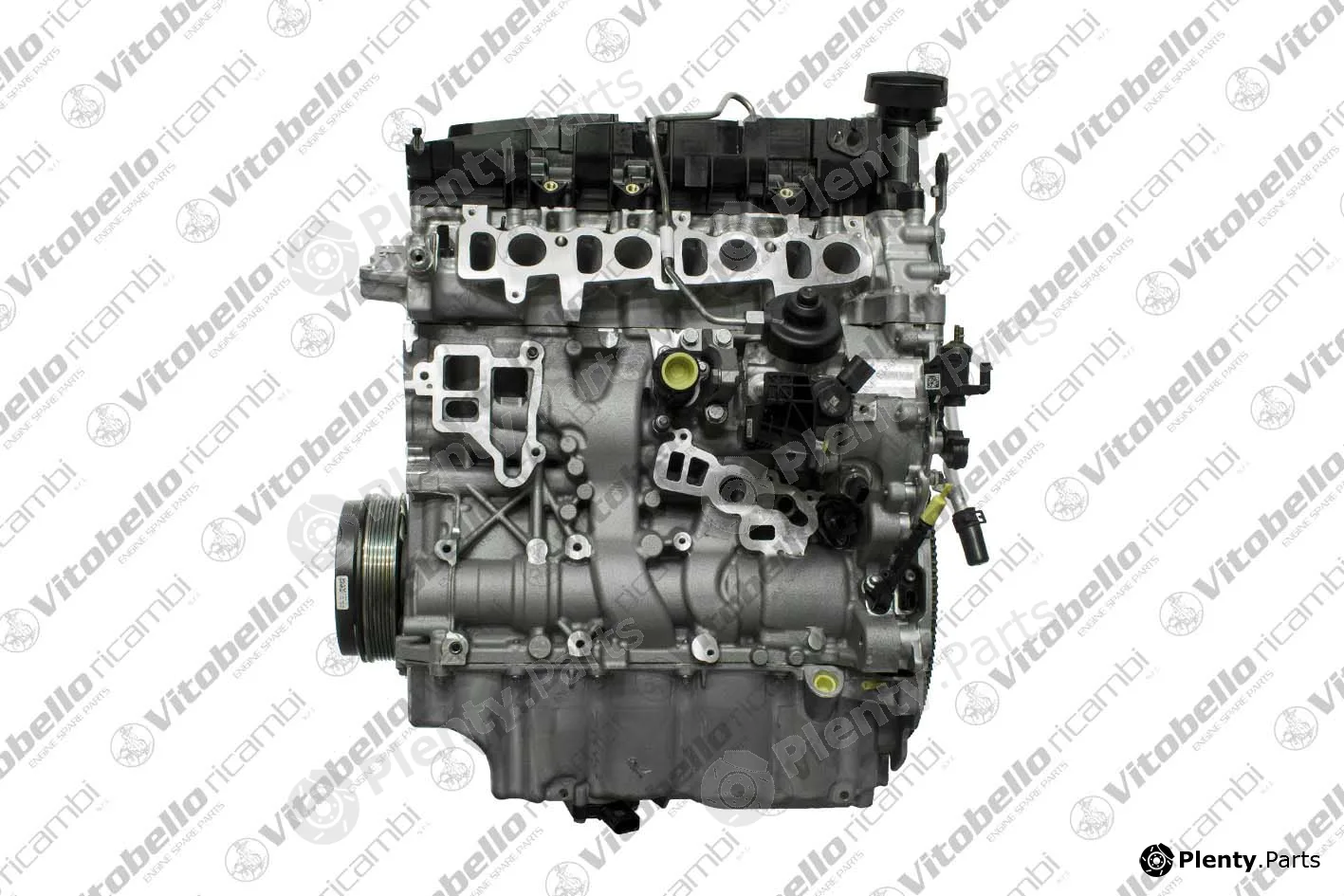 Vitobello Ricambi 1003654NO — Complete Engine