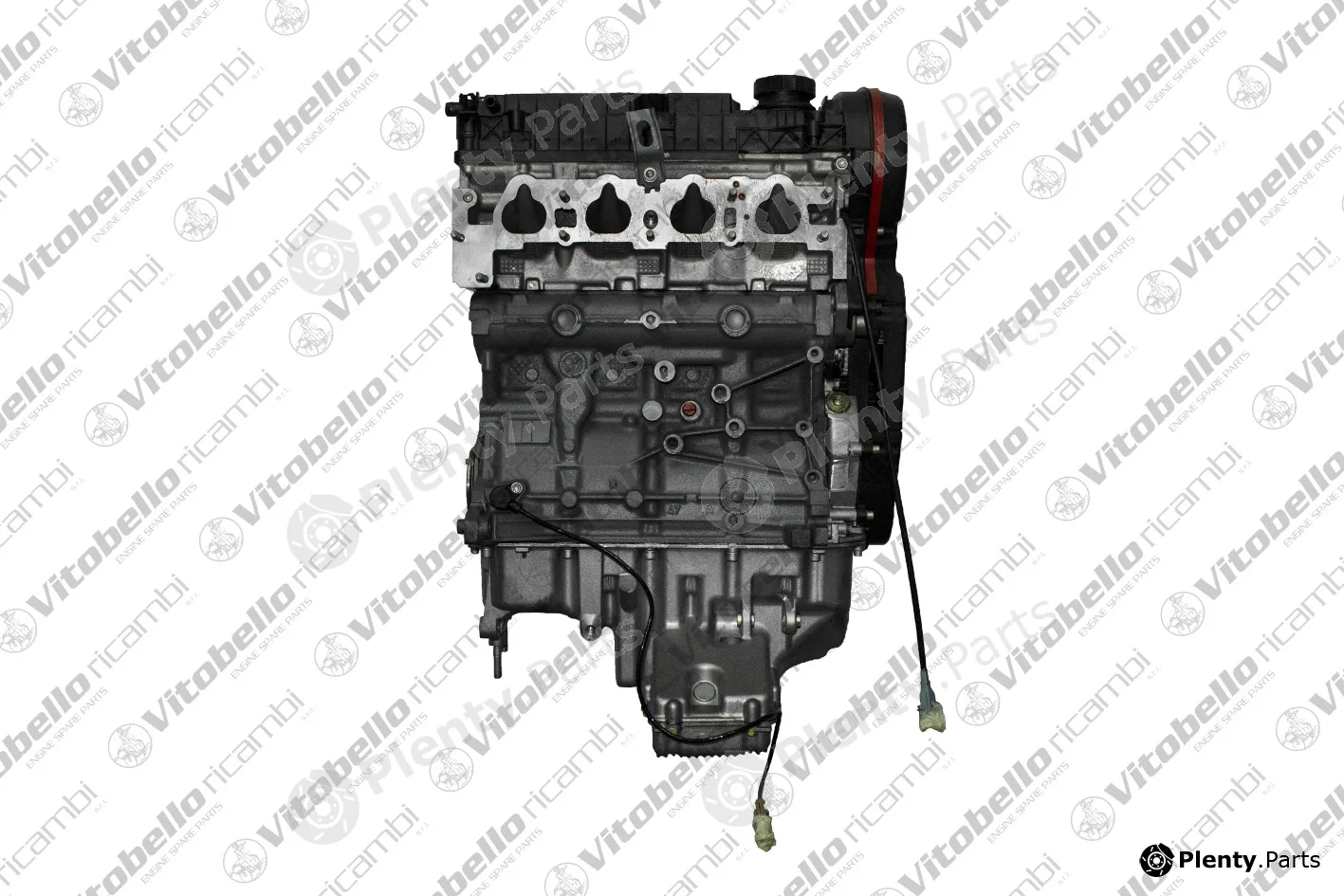 Vitobello Ricambi 6008R — Complete Engine