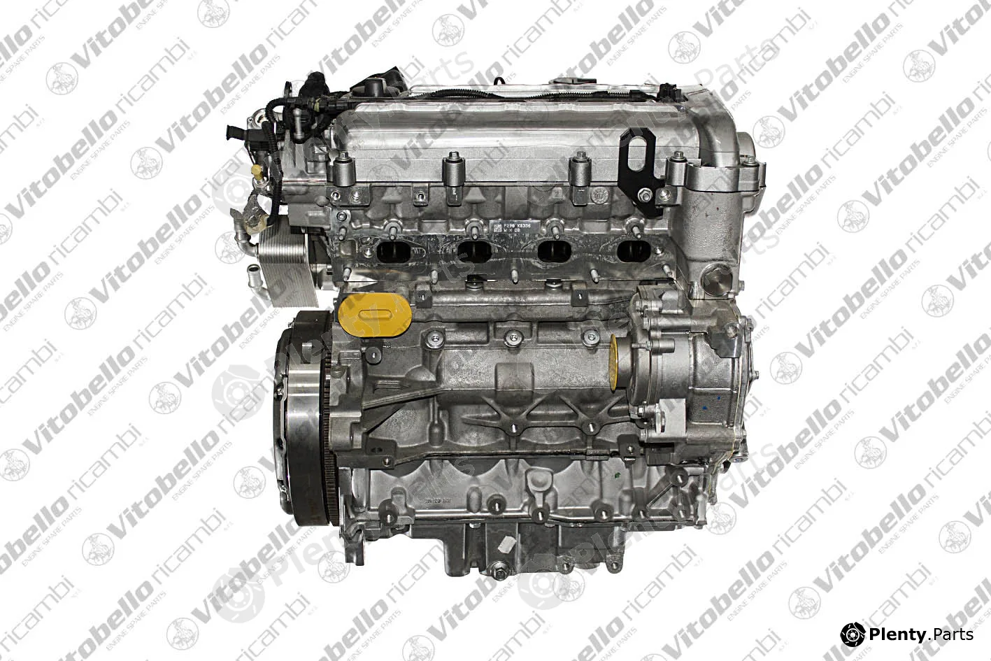 Vitobello Ricambi 17172NO — Complete Engine