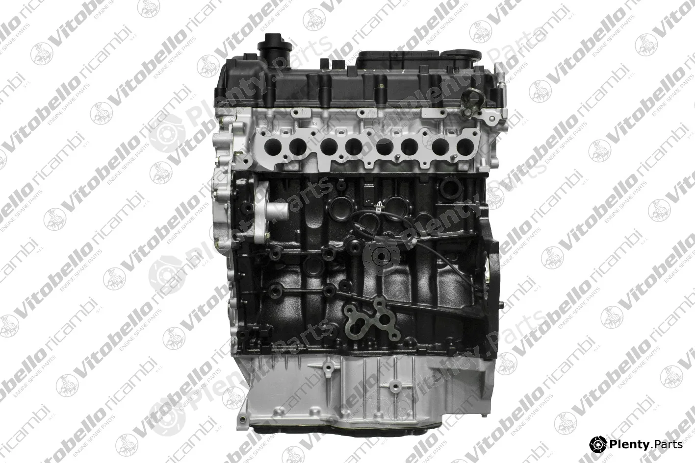 Vitobello Ricambi 1001614R — Complete Engine