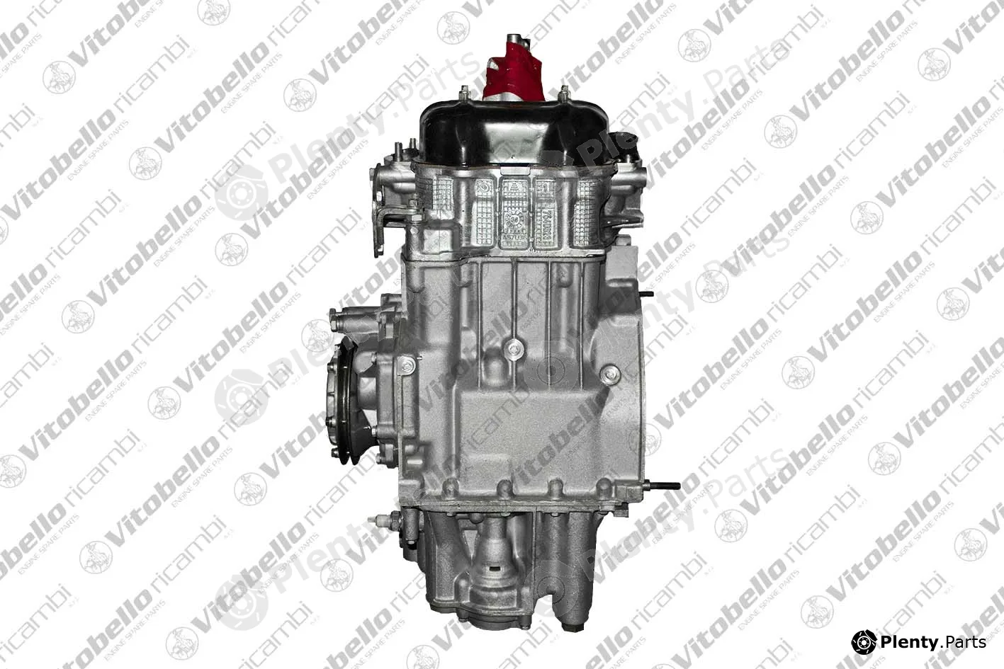 Vitobello Ricambi 6013NO — Complete Engine