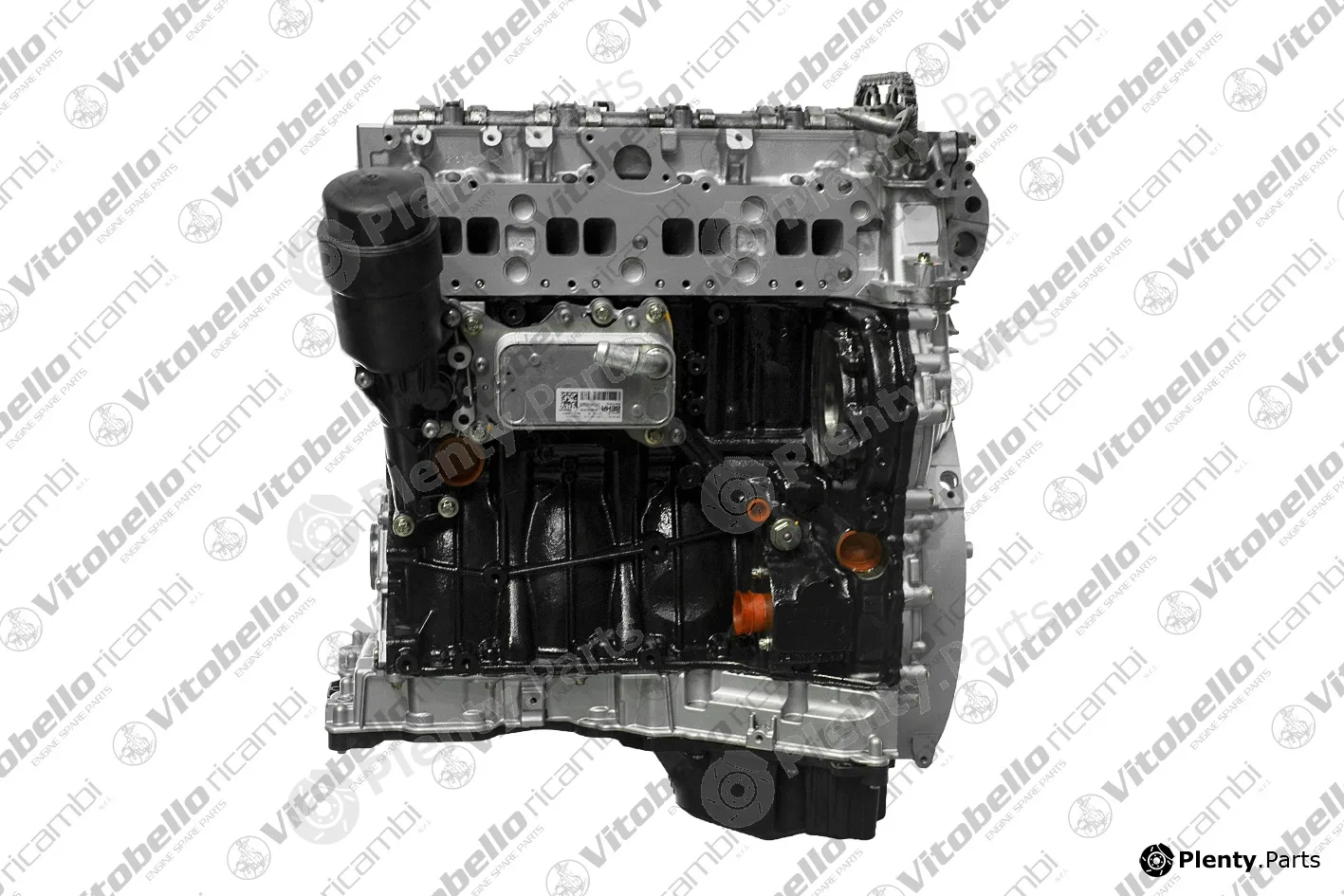 Vitobello Ricambi 1000100R — Complete Engine