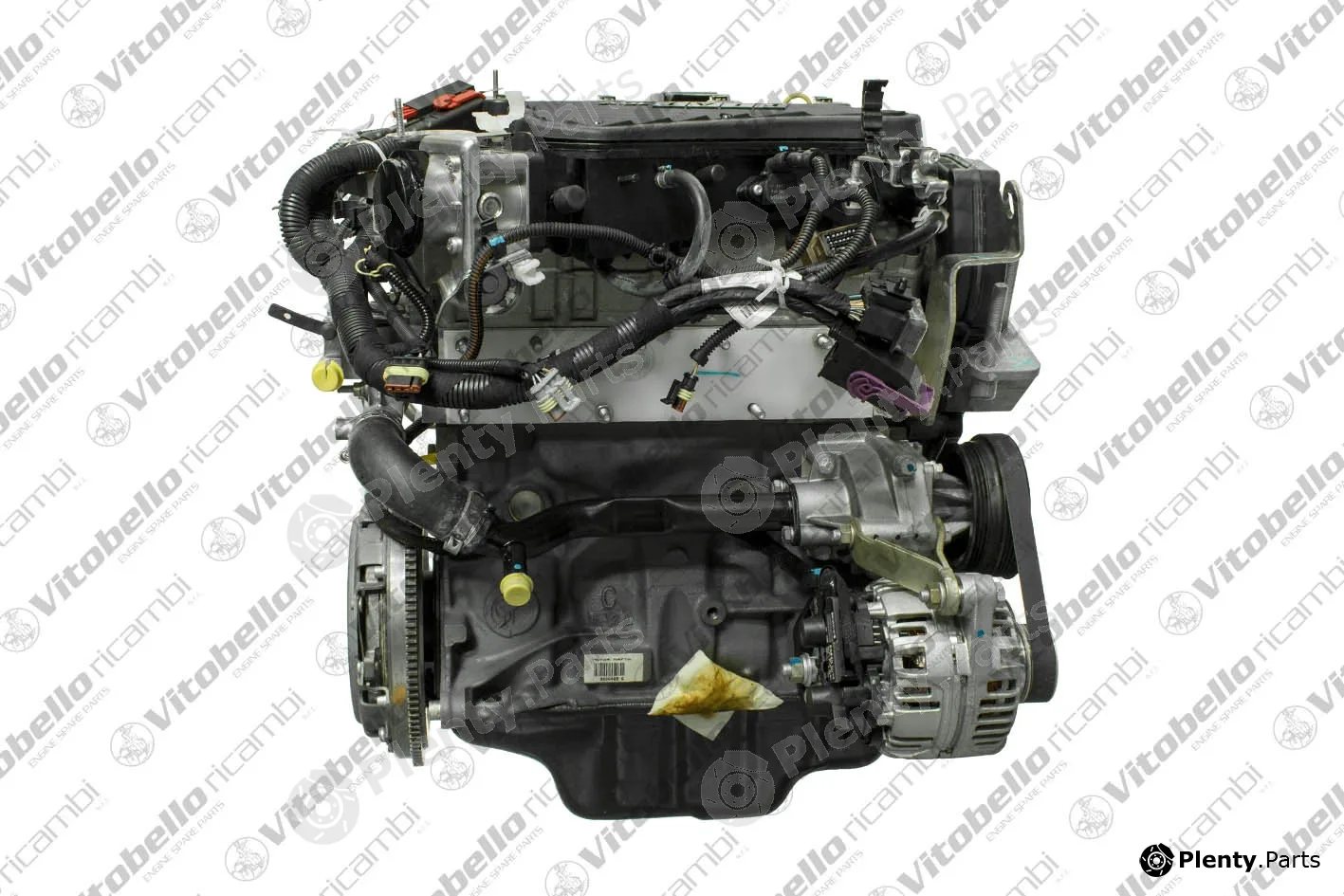 Vitobello Ricambi 1003335NO — Complete Engine