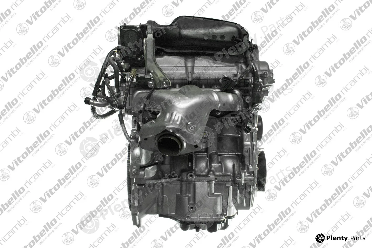 Vitobello Ricambi 5102NO — Complete Engine