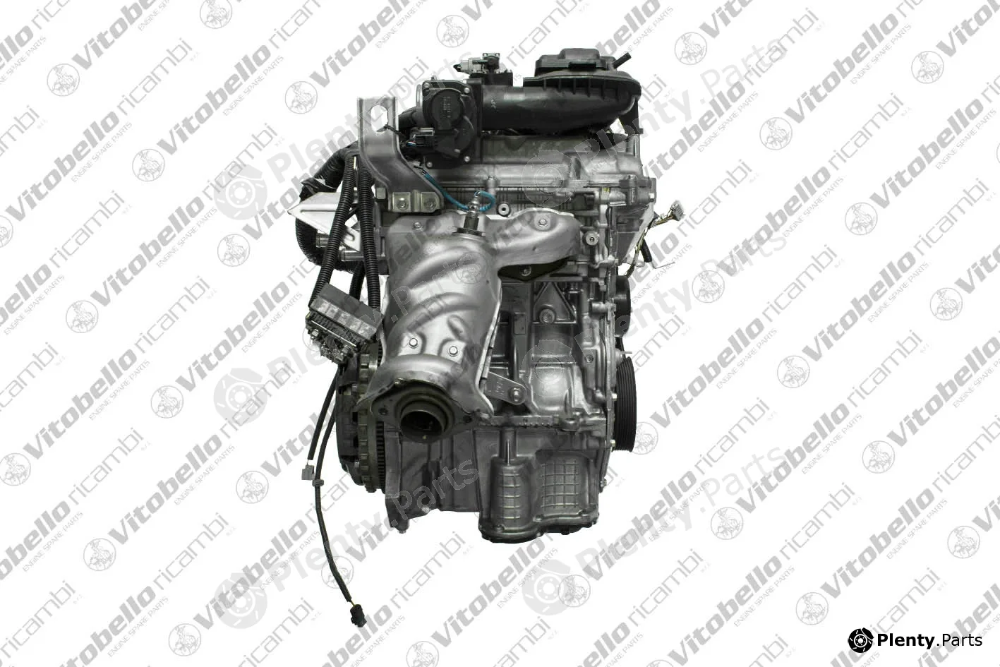 Vitobello Ricambi 17663NO — Complete Engine