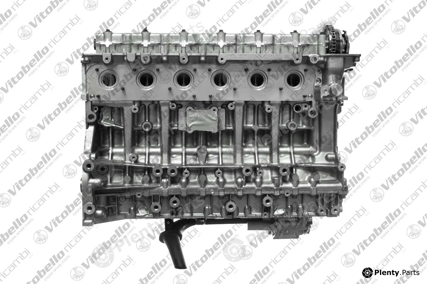 Vitobello Ricambi 1004342R — Complete Engine