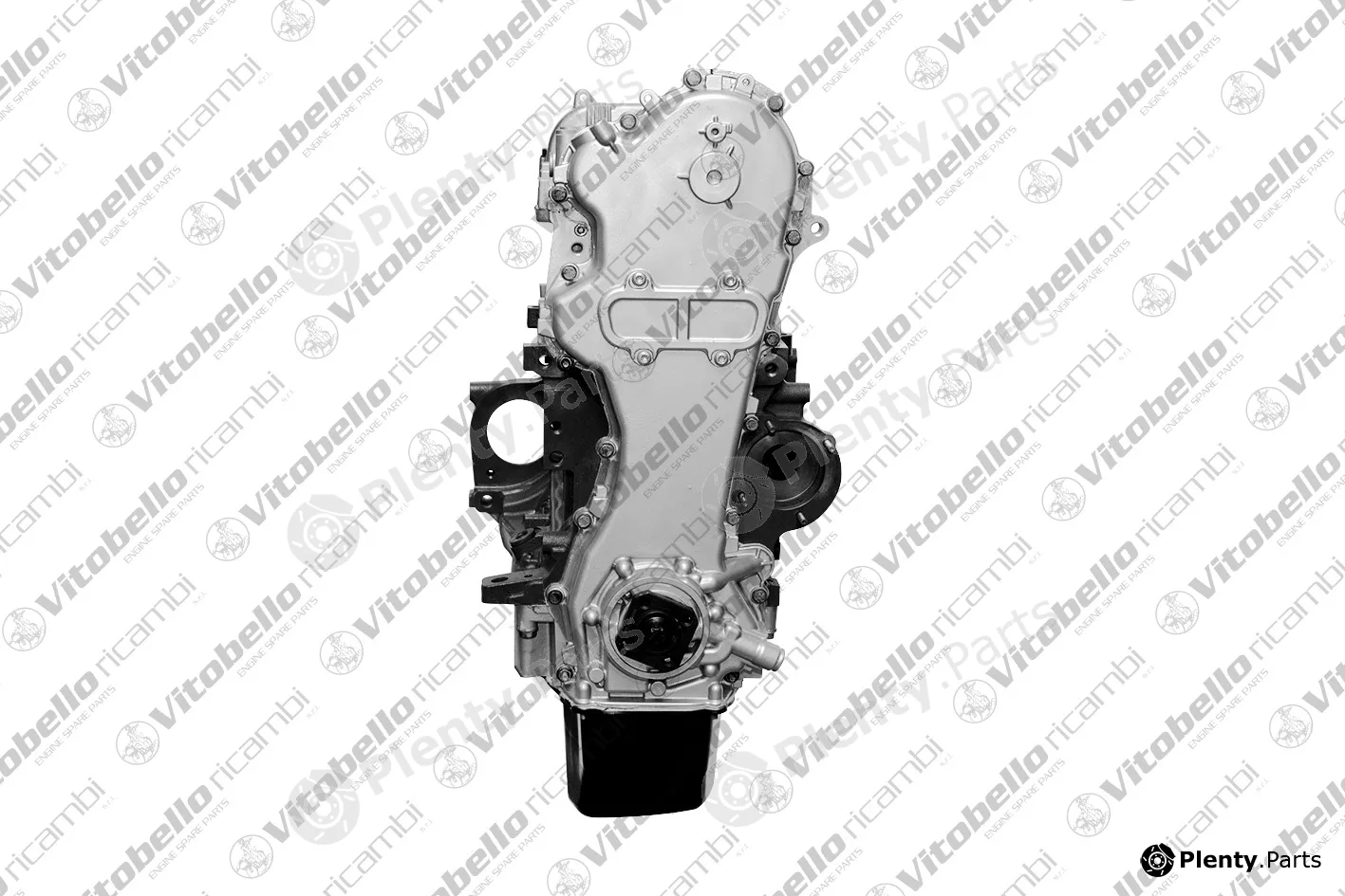 Vitobello Ricambi 17421R — Complete Engine