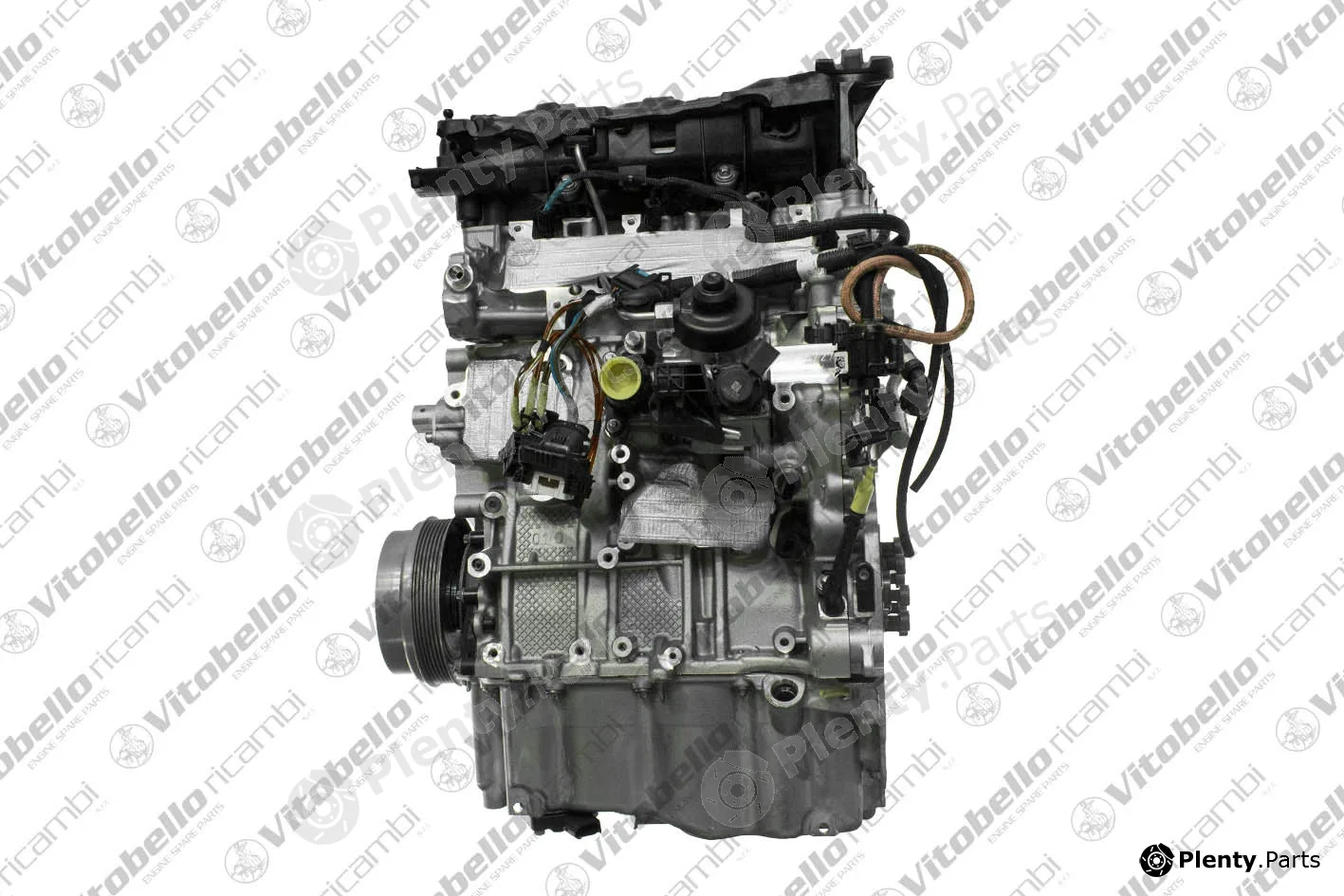 Vitobello Ricambi 1003593NO — Complete Engine