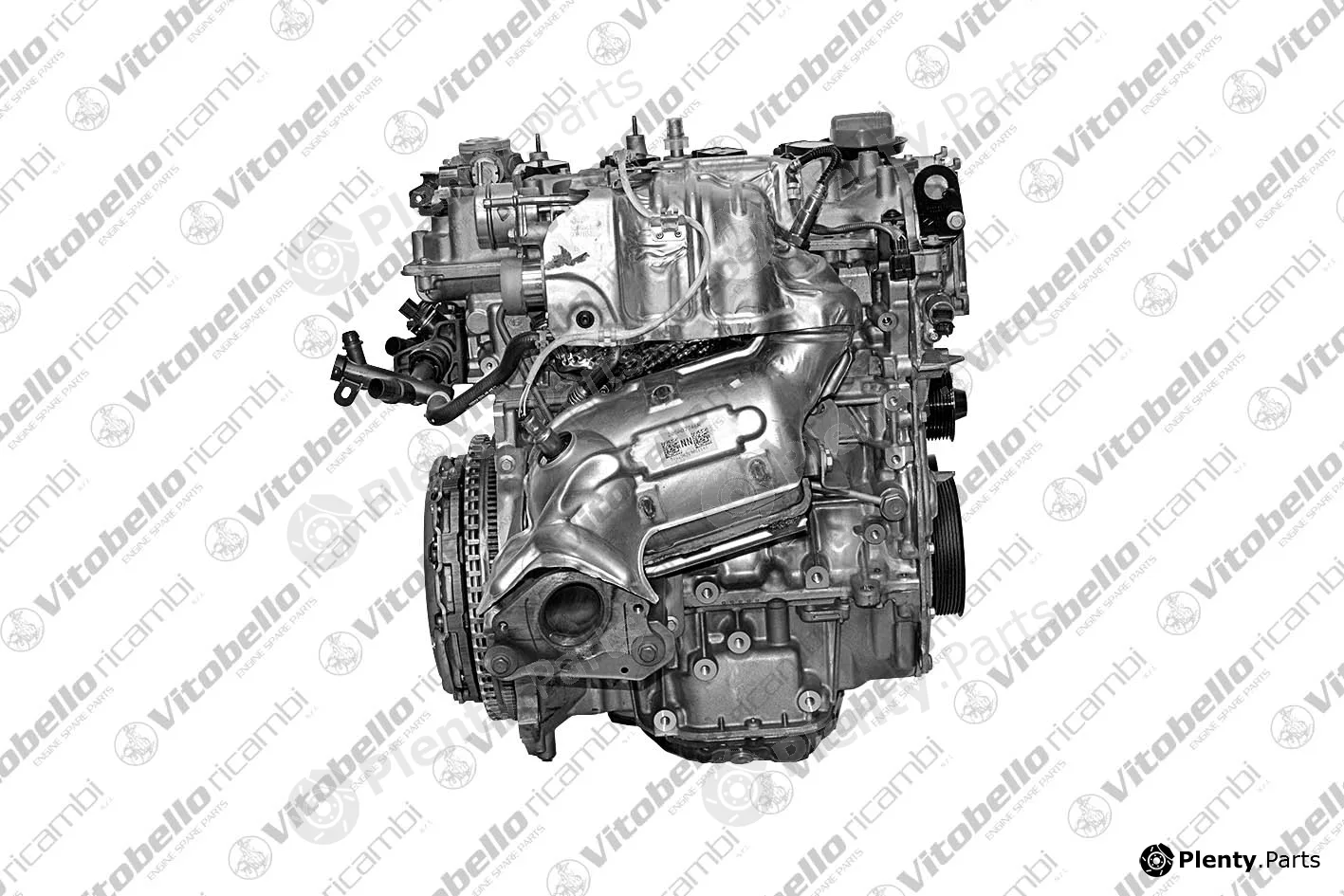 Vitobello Ricambi 19143NO — Complete Engine