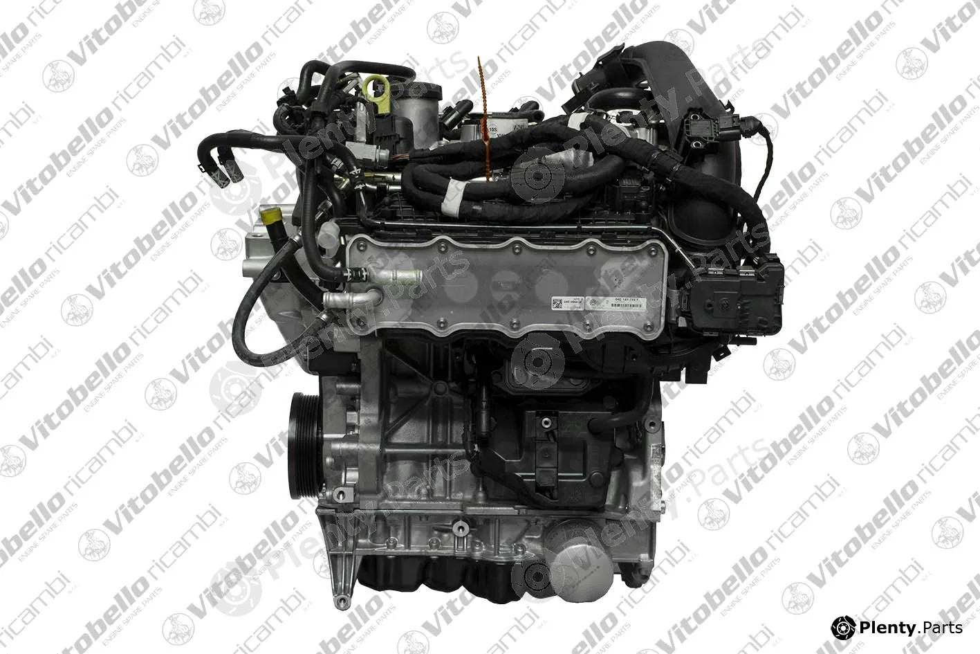 Vitobello Ricambi 1003888NO — Complete Engine