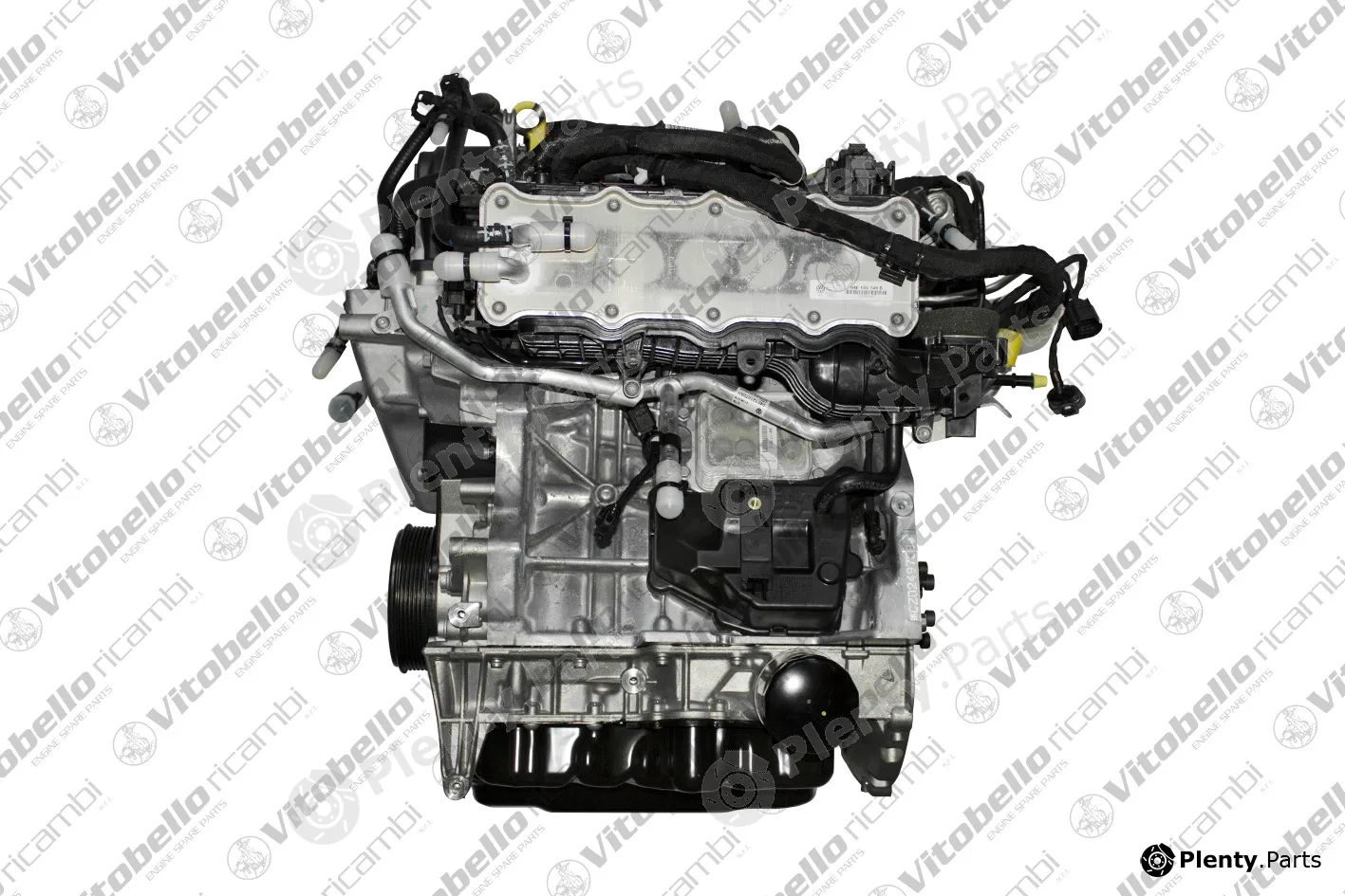 Vitobello Ricambi 1002347NO — Complete Engine