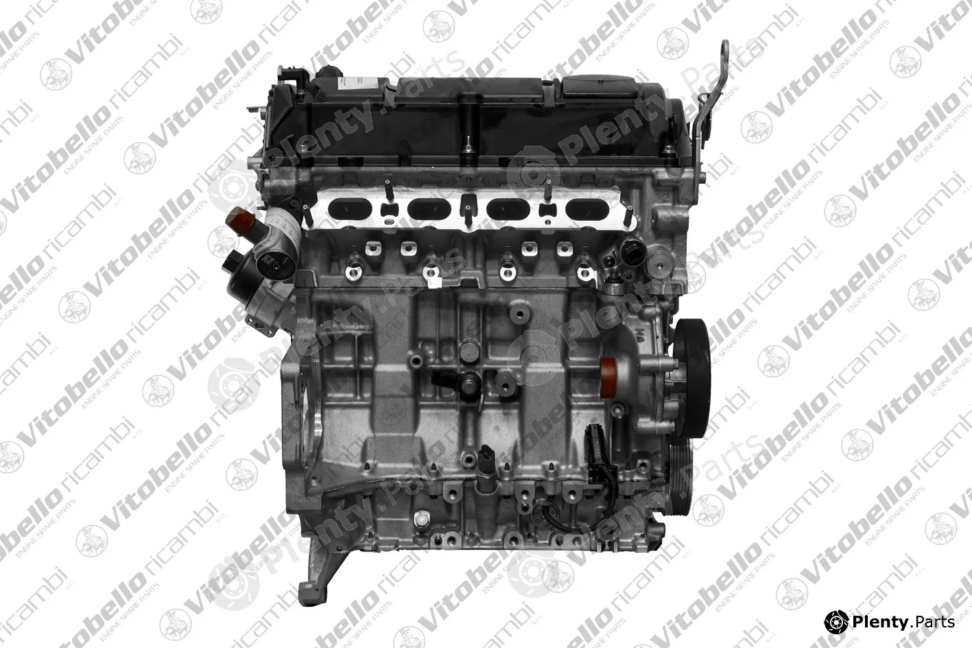 Vitobello Ricambi 1002291R — Complete Engine